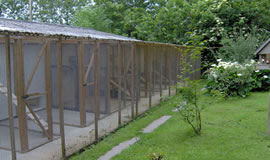 Outside view of cattery